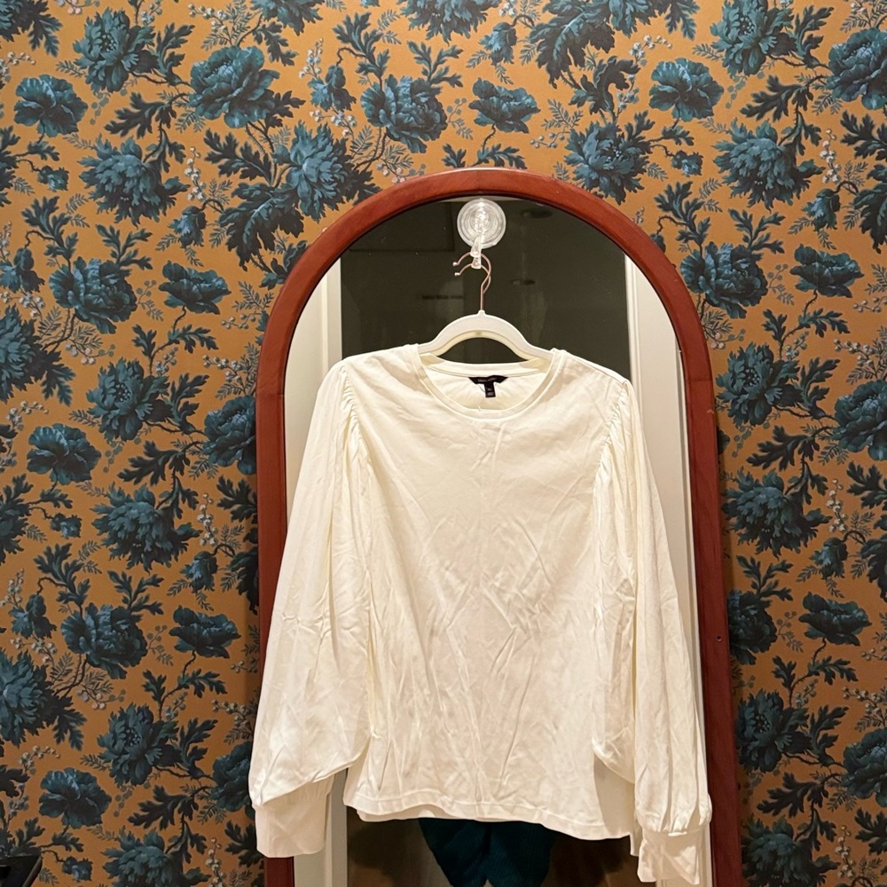 Banana Republic Balloon Sleeve Top